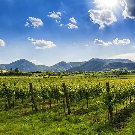 Coccolo A 10 Minuti Da Centro - Giusi Lägenhet